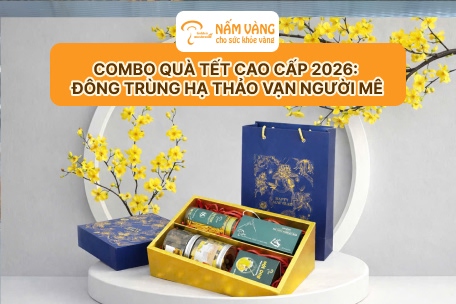 Quà Tết doanh nghiệp cao cấp 2026 Đông trùng hạ thảo