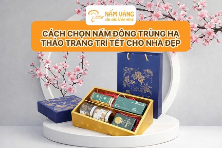So sánh nấm đông trùng hạ thảo trang trí Tết Nấm Vàng