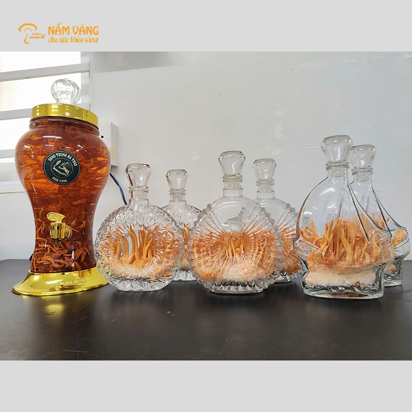 Nấm đông trùng hạ thảo trang trí Tết cao cấp