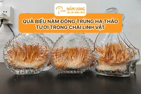 Bao bì quà biếu nấm đông trùng hạ thảo tươi trong chai linh vật