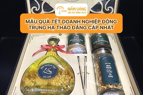 Quà Tết doanh nghiệp đông trùng hạ thảo Nấm Vàng trọn gói