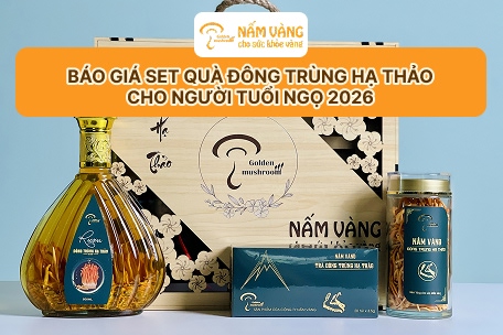 Set quà đông trùng hạ thảo cao cấp biếu Tết người tuổi Ngọ